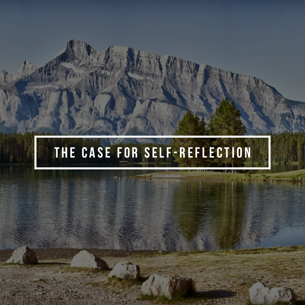 The Case for Self-Reflection